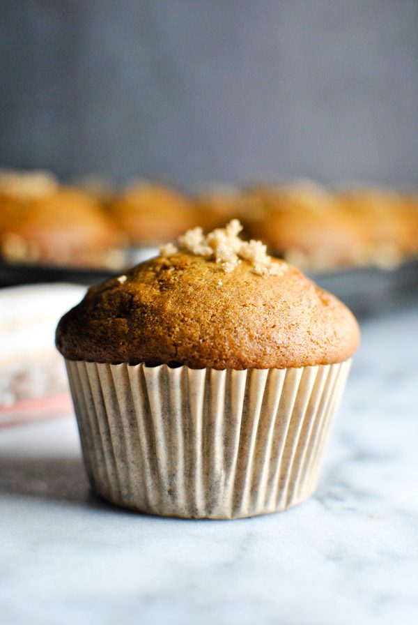 these pumpkin muffins are perfect for the start of fall! The recipe is super simple and they come out perfectly cakey & delicious. it just doesn't get better than that. | thepikeplacekitchen.com 